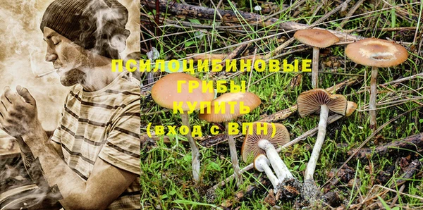 стафф Слюдянка