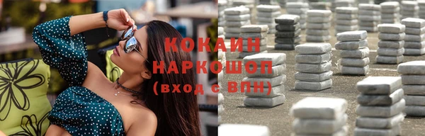 шишки Снежинск