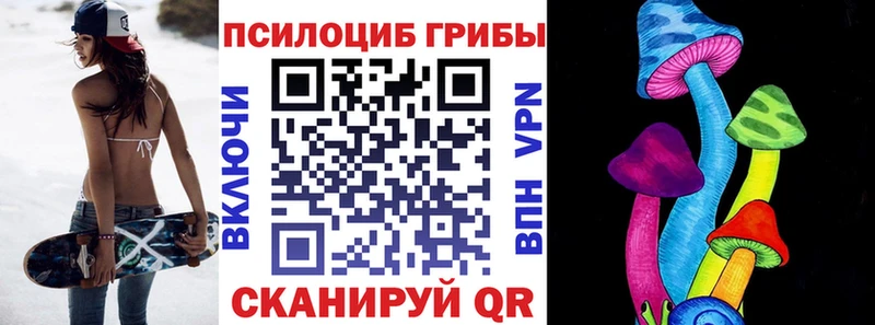 мега зеркало  Спасск-Дальний  Галлюциногенные грибы Psilocybine cubensis 